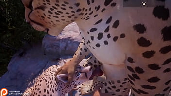 Furry yiff animation blowjob and anal